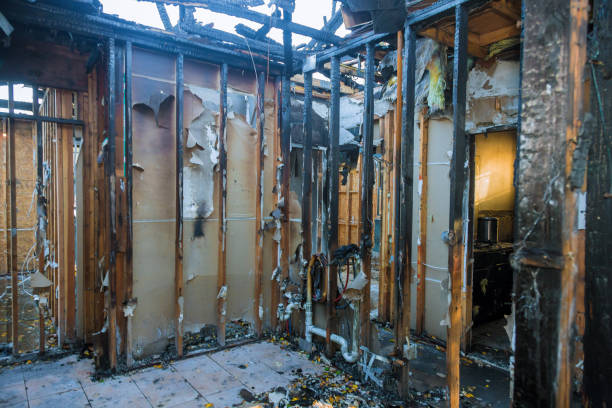 Professional Fire Damage Removal technician working in Heritage Pines, FL
